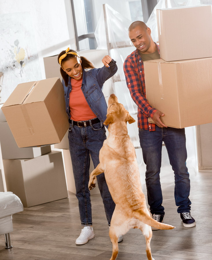 Moving tips for Pet Owners